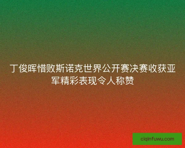 丁俊晖惜败斯诺克世界公开赛决赛收获亚军精彩表现令人称赞